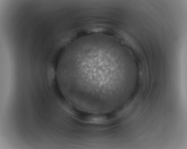 X0000113780555200909301152