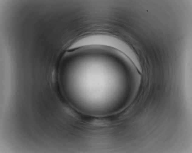 X0000113780556200909301152