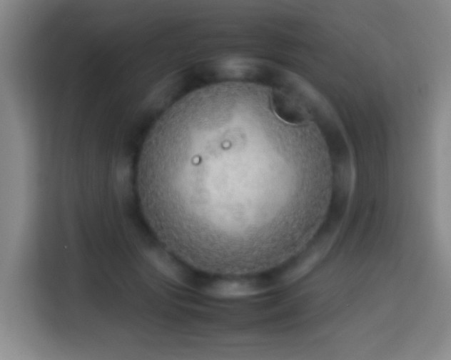 X0000113780557200909301152