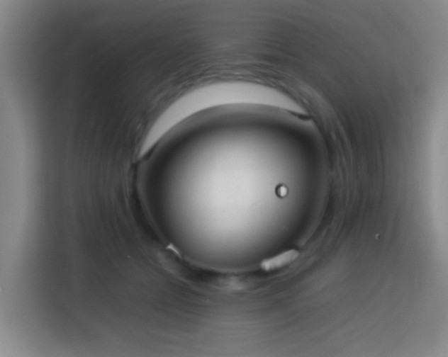 X0000113780558200909301152