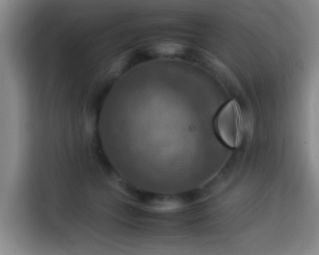 X0000113780559200909301152