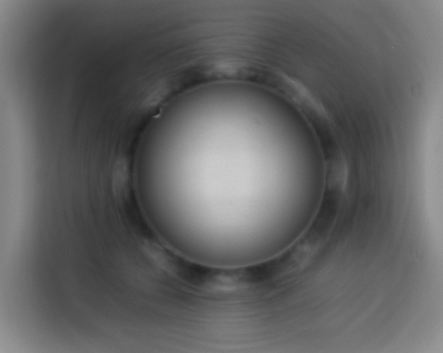 X0000113780560200909301152