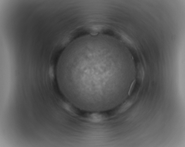 X0000113780562200909301152