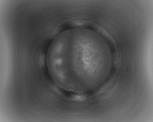 X0000113780563200909301152