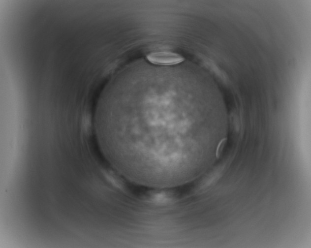 X0000113780564200909301152