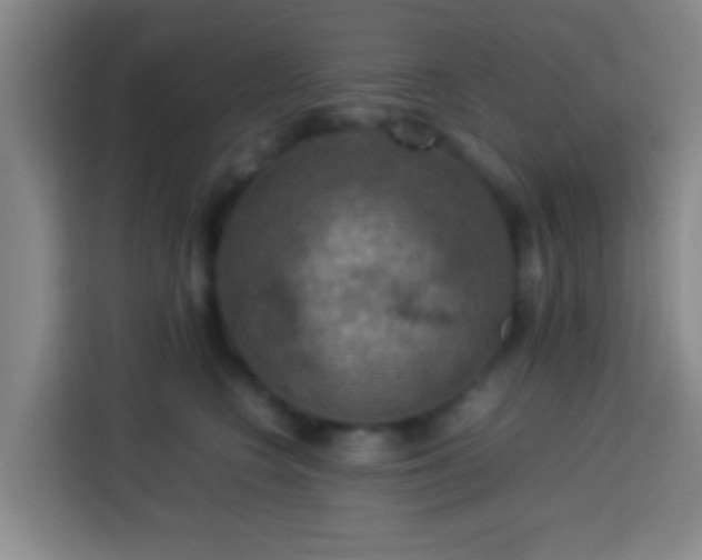 X0000113780566200909301152