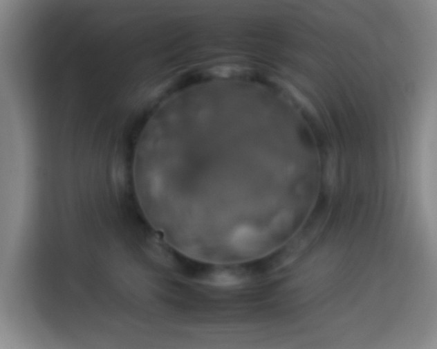 X0000113780569200909301152