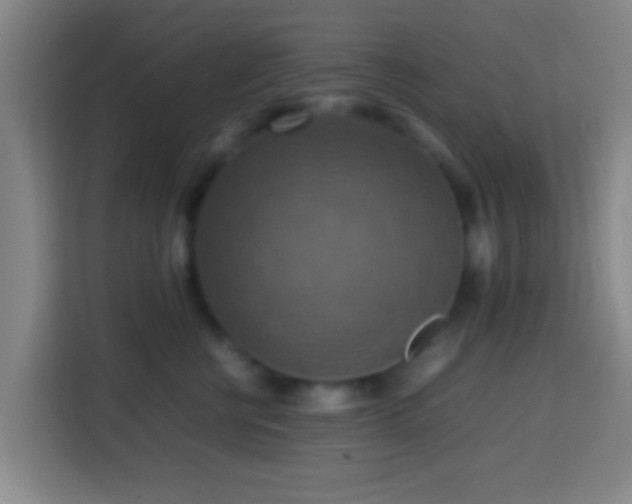 X0000113780570200909301152