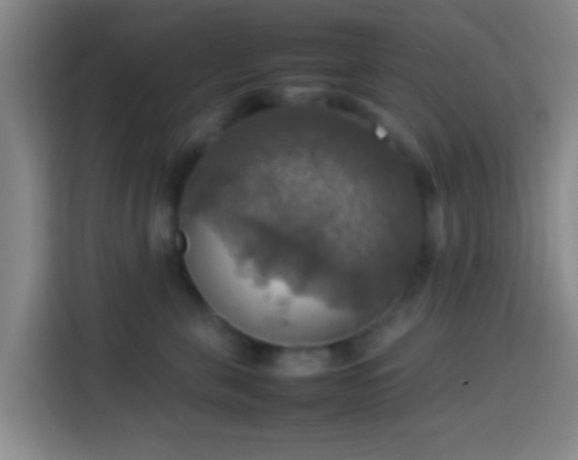 X0000113780571200909301152