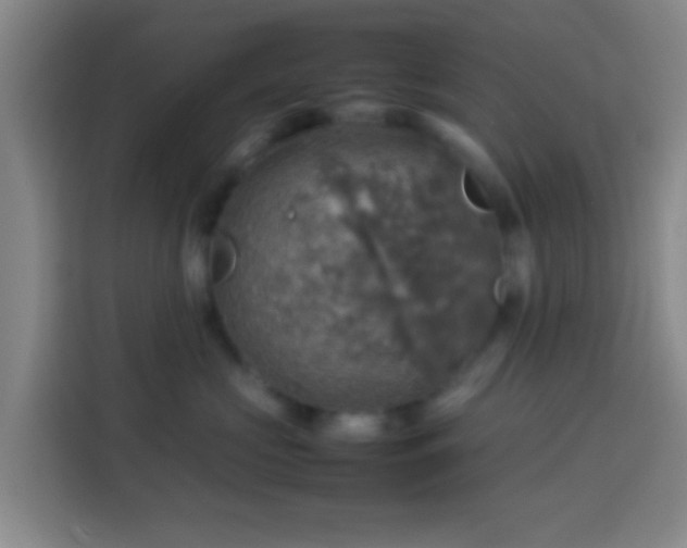 X0000113780573200909301152