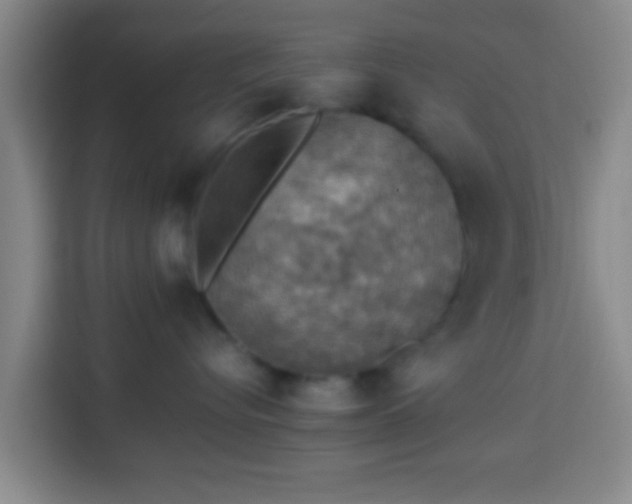 X0000113780576200909301152