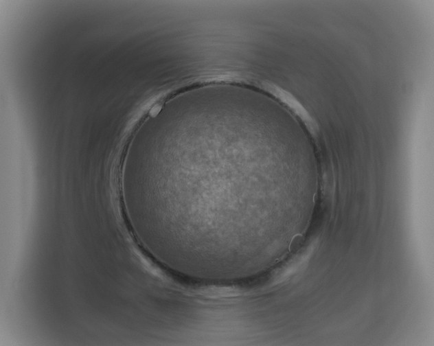 X0000113780577200909301151