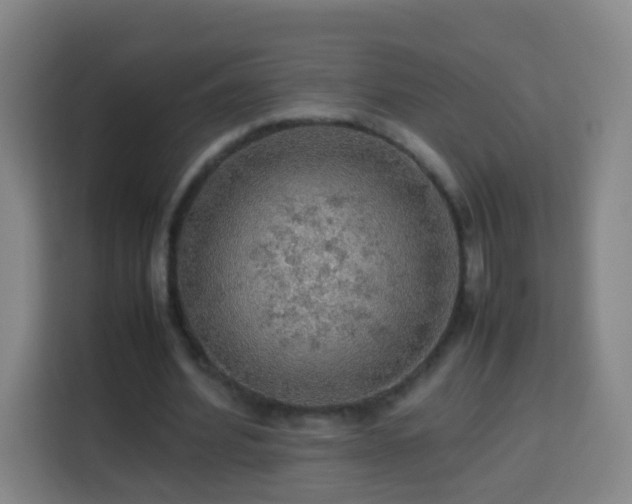 X0000113780580200909301151