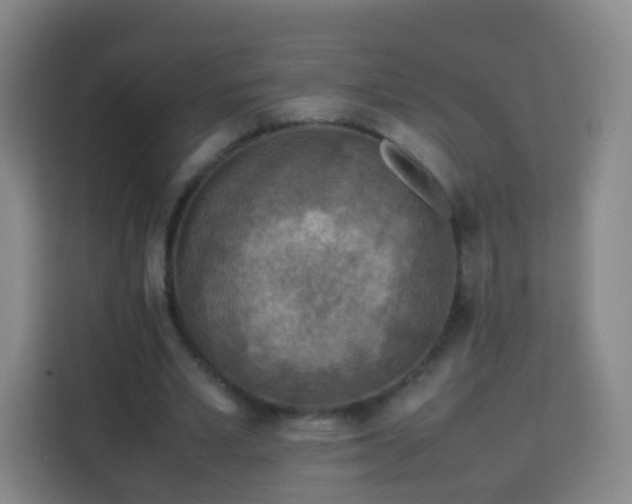 X0000113780581200909301151