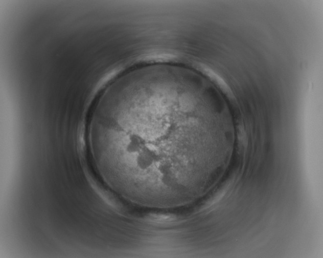 X0000113780582200909301151