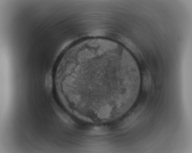 X0000113780584200909301151