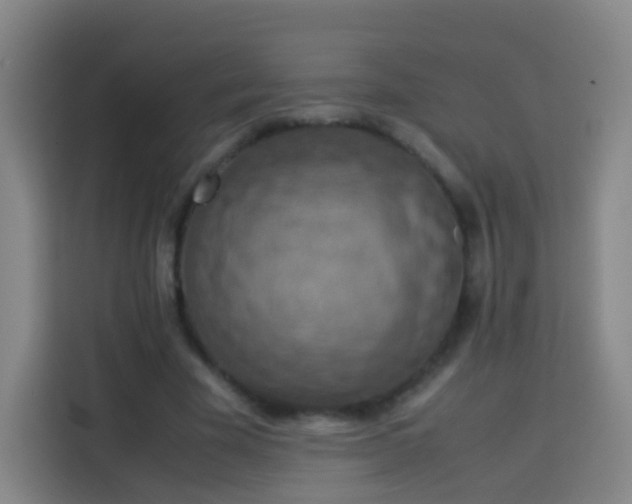 X0000113780585200909301151