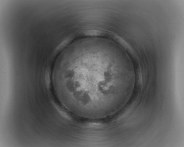 X0000113780586200909301151