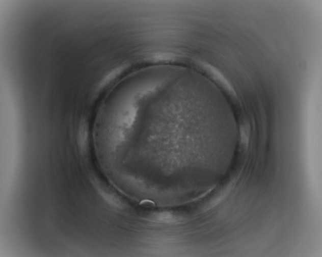 X0000113780588200909301151