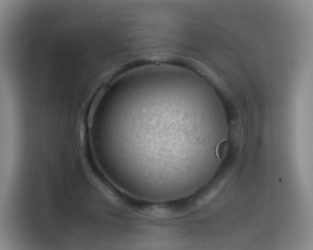 X0000113780589200909301151