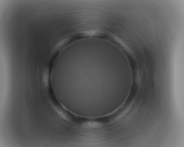 X0000113780590200909301151