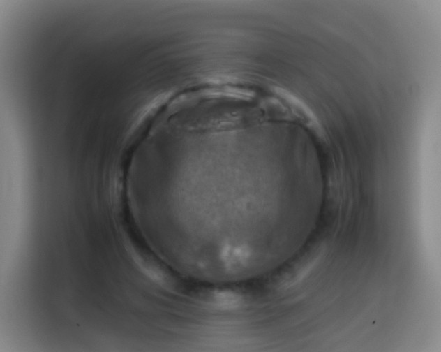 X0000113780592200909301151