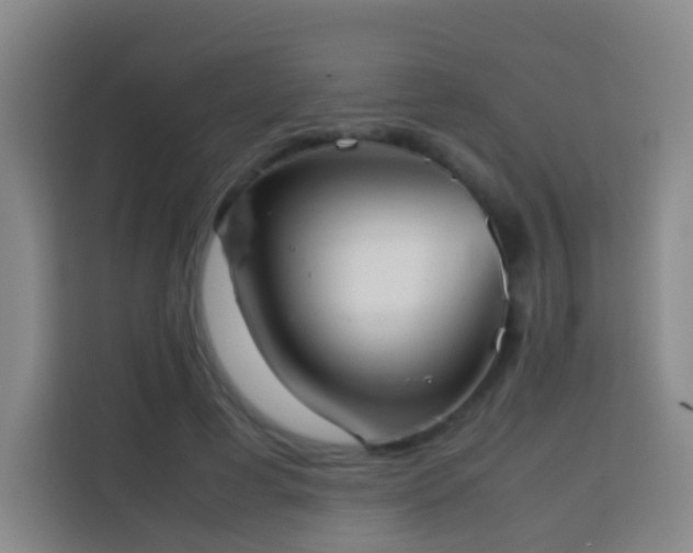 X0000113780593200909301151