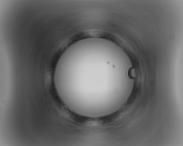 X0000113780595200909301151