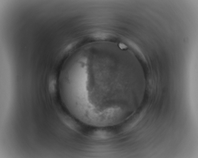 X0000113780596200909301151