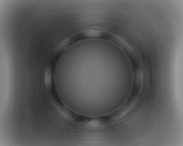 X0000113780600200909301151