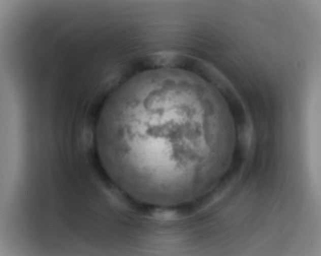 X0000113780602200909301151