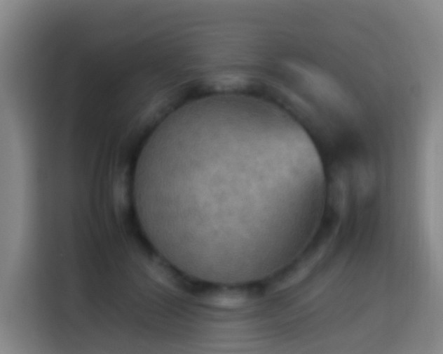 X0000113780604200909301151