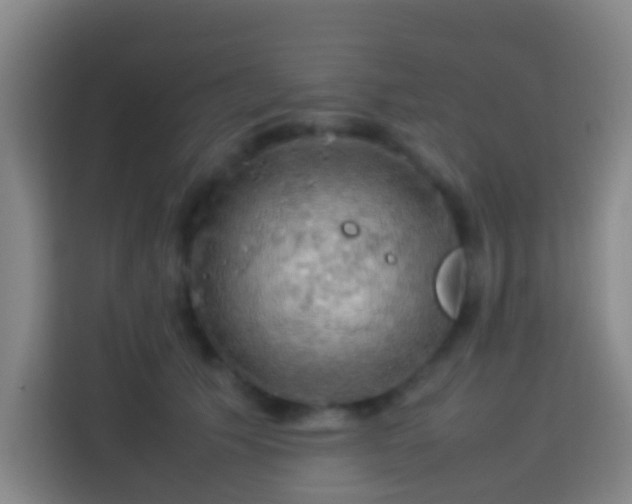 X0000113780609200909301151