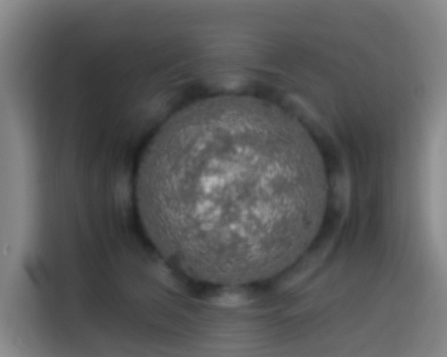 X0000113780612200909301151