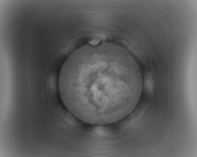 X0000113780616200909301151