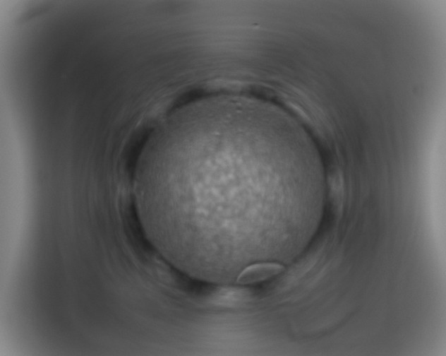 X0000113780617200909301151