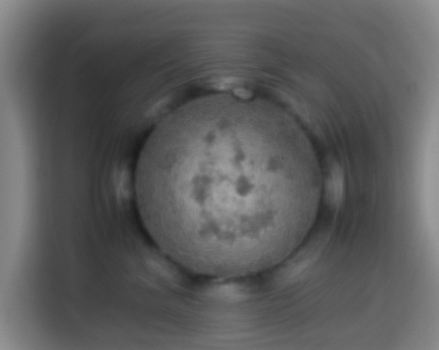 X0000113780620200909301150