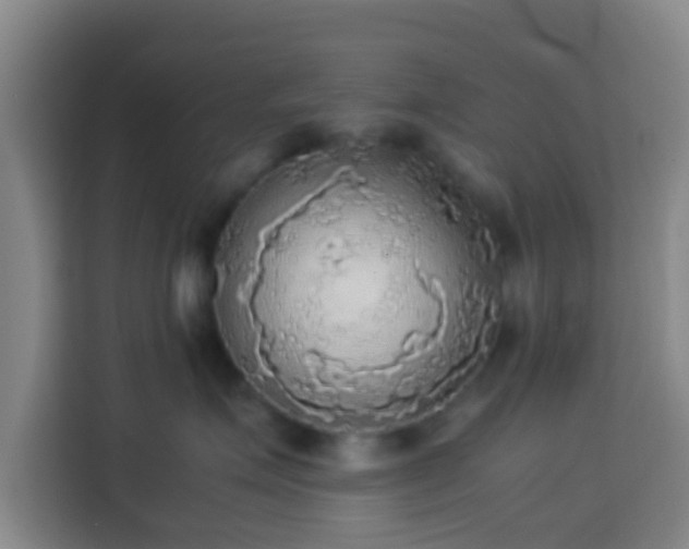 X0000113780623200909301150