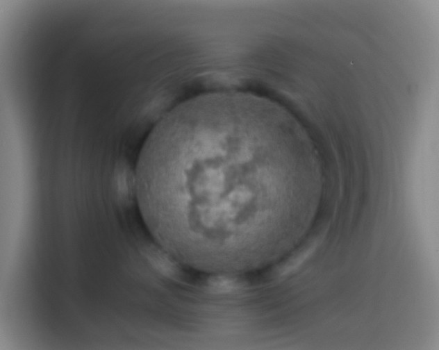 X0000113780624200909301150