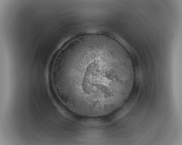 X0000113780626200909301150