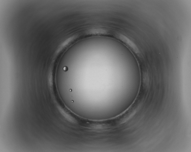 X0000113780629200909301150