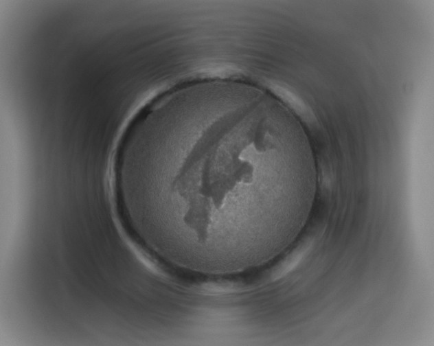 X0000113780630200909301150