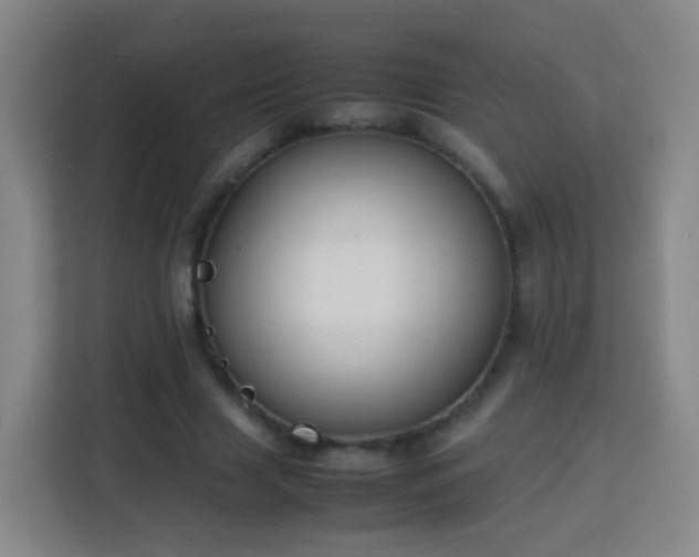 X0000113780633200909301150