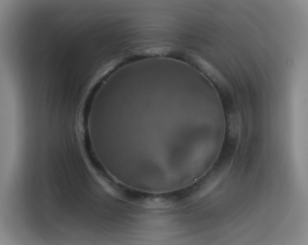 X0000113780634200909301150