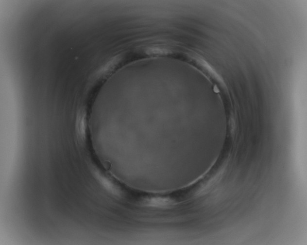 X0000113780637200909301150