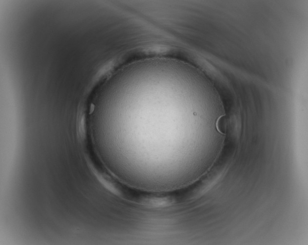 X0000113780638200909301150