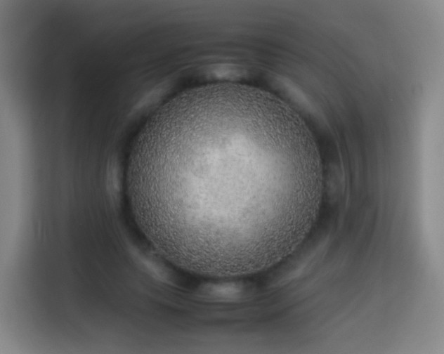 X0000113780639200909301150