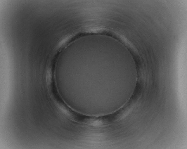 X0000113780640200909301150