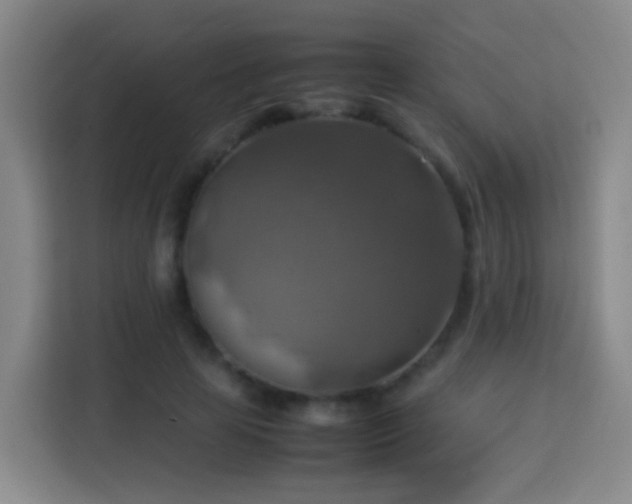 X0000113780641200909301150