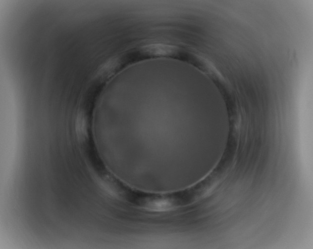 X0000113780643200909301150